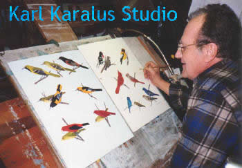 Karl E Karalus - Wildlife Illustrator and Artist